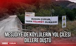 Mesudiye’de Köylülerin Yol Çilesi Dillere Düştü