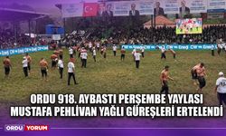 Ordu 918. Aybastı Perşembe Yaylası Mustafa Pehlivan Yağlı Güreşleri Ertelendi