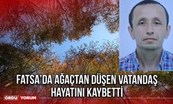 Fatsa’da Ağaçtan Düşen Vatandaş hayatını Kaybetti