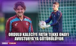 Ordulu Kaleciye Fatih Tekke Onayı, Avusturya'ya Götürülüyor