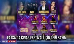 Fatsa'da Çınar Festivali İçin Geri Sayım