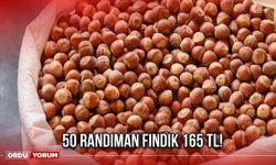 50 Randıman Fındık 165 TL!