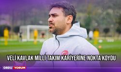 Veli Kavlak Milli Takım Kariyerine Nokta Koydu