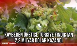 Kaybeden Üretici: Türkiye Fındıktan 2,2 Milyar Dolar Kazandı