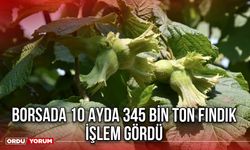 Borsada 10 Ayda 345 Bin Ton Fındık İşlem Gördü