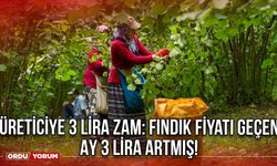 Üreticiye 3 Lira Zam: Fındık Fiyatı Geçen Ay 3 Lira Artmış!