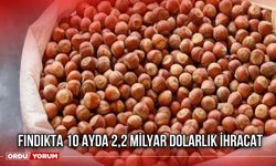 Fındıkta 10 Ayda 2,2 Milyar Dolarlık İhracat