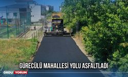 Gürecülü Mahallesi Yolu Asfaltladı