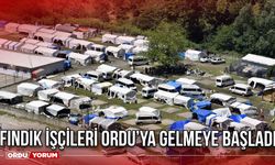 Fındık İşçileri Ordu’ya Gelmeye Başladı