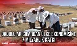 Ordulu Arıcılardan Ülke Ekonomisine 7 Milyarlık Katkı