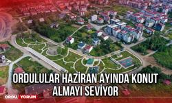 Ordulular Haziran Ayında Konut Almayı Seviyor