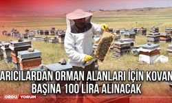 Arıcılardan Orman Alanları İçin Kovan Başına 100 Lira Alınacak
