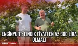 Enginyurt: Fındık Fiyatı En Az 300 Lira Olmalı