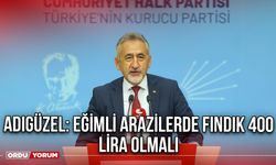 Adıgüzel: Eğimli Arazilerde Fındık 400 Lira Olmalı
