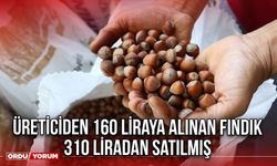 Üreticiden 160 Liraya Alınan Fındık 310 Liradan Satılmış