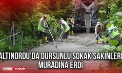 Altınordu'da Dursunlu Sokak Sakinleri Muradına Erdi