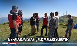 Meralarda Islah Çalışmaları Sürüyor