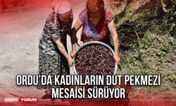 Ordu’da Kadınların Dut Pekmezi Mesaisi Sürüyor