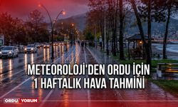 Meteoroloji'den Ordu İçin 1 Haftalık Hava Tahmini