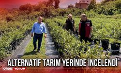 Alternatif Tarım Yerinde İncelendi