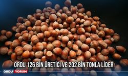 Ordu 126 Bin Üretici ve 202 Bin Tonla Lider
