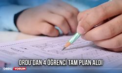 Ordu'dan 4 Öğrenci Tam Puan Aldı