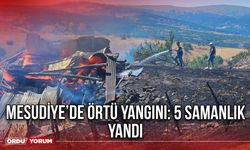 Mesudiye’de Örtü yangını: 5 Samanlık Yandı