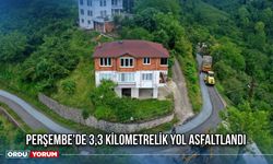 Perşembe'de 3,3 Kilometrelik Yol Asfaltlandı