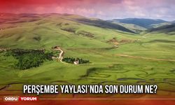 Perşembe Yaylası’nda Son Durum Ne?
