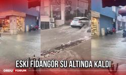 Eski Fidangör Su Altında Kaldı