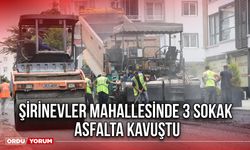 Şirinevler Mahallesinde 3 Sokak Asfalta Kavuştu