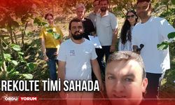 Rekolte Timi Sahada