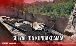 Gülyalı’da Kundaklama!