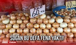 Soğan Bu Defa Fena Yaktı!
