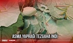Asma Yaprağı Tezgaha İndi