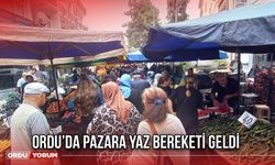 Ordu’da Pazara Yaz Bereketi Geldi