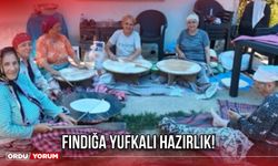 Fındığa Yufkalı Hazırlık!