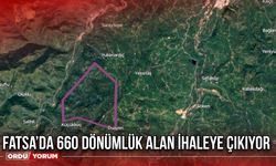 Fatsa’da 660 Dönümlük Alan İhaleye Çıkıyor