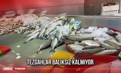 Tezgahlar Balıksız Kalmıyor