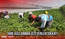 Hibe Kullanmak isteyenler Dikkat!