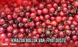 Kirazda Bolluk Var, Fiyat Düştü