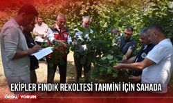 Ekipler Fındık Rekoltesi Tahmini İçin Sahada