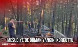 Mesudiye'de Orman Yangını Korkuttu