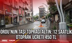 Ordu’nun Taşı Toprağı Altın: 12 Saatlik Otopark Ücreti 450 TL