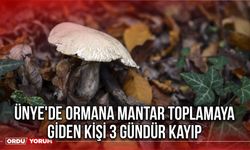 Ünye'de Ormana Mantar Toplamaya Giden Kişi 3 Gündür Kayıp