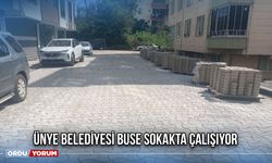 Ünye Belediyesi Buse Sokakta Çalışıyor