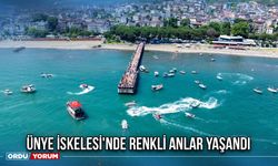Ünye İskelesi'nde Renkli Anlar Yaşandı
