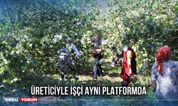Üreticiyle İşçi Aynı Platformda