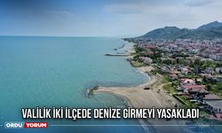 Valilik İki İlçede Denize Girmeyi Yasakladı