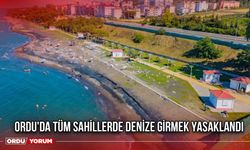 Ordu'da Tüm Sahillerde Denize Girmek Yasaklandı